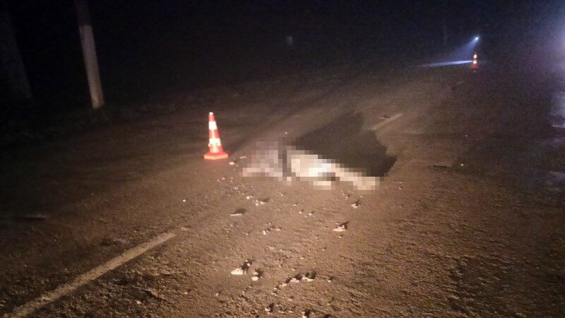 У Запорізькому районі на смерть збили жінку: водій втік з місця ДТП, – ФОТО