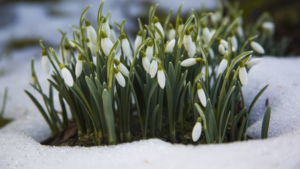 Прогноз погоди на вихідні 4–5 березня: перший весняний вікенд буде мінливим