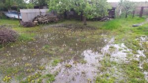 Затоплені водою вулиці й пляж: весняне водопілля у Запорізькій області, — ФОТО, ВІДЕО