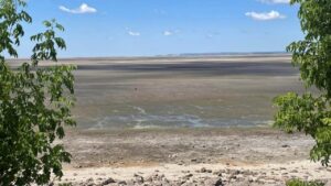 Сельское хозяйство под вопросом: на временно оккупированных территориях Запорожской области дефицит воды