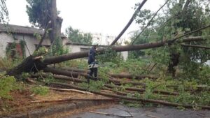 Поваленные деревья и оборванные электропровода: последствия непогоды в Запорожье