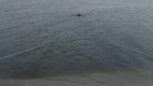 Пірнув й зник з поля зору: у Запоріжжі потонув 15-річний підліток 