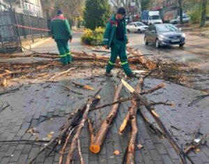 Негода у Запоріжжі: шквальний вітер повалив дерева, є пориви контактної мережі, — ФОТО