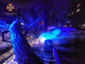 Непогода в Запорожье повалила на дороги деревья и бетонный блок: вызывали спасателей