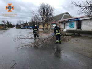 Негода у Запорізькій області: 14 знеструмлених населених пунктів, впале дерево та допомога водіям, — ФОТО 