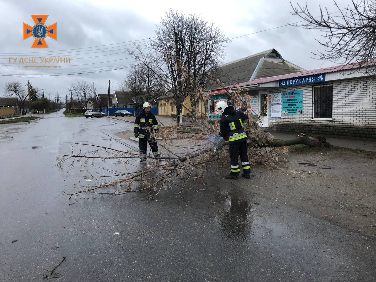 Непогода в Запорожской области: 14 обесточенных населенных пунктов, упавшее дерево и помощь водителям, — ФОТО