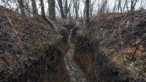 У Запорізькій області бойові дії знищують чорноземи і лісосмуги: які наслідки це матиме для довкілля