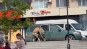 В Запорожском областном ТЦК и СП прокомментировали видео, на котором двое в камуфляже пытались  затолкнуть мужчину в авто