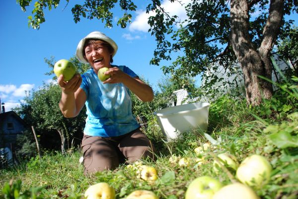 В Запорожье стартует дачный сезон