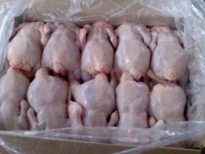 В Украину ввезено 535 тонн мяса курицы, зараженного возбудителями сальмонеллеза