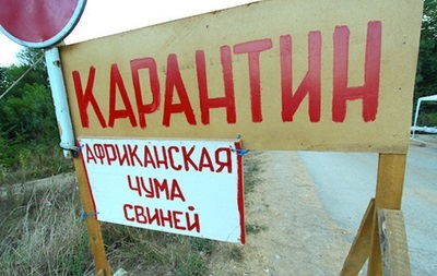 В Черниговской области вспышка африканской чумы свиней