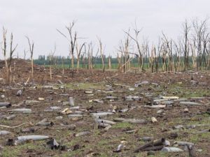 В топ-пять крупнейших техногенных катастроф Украины вошли две запорожские