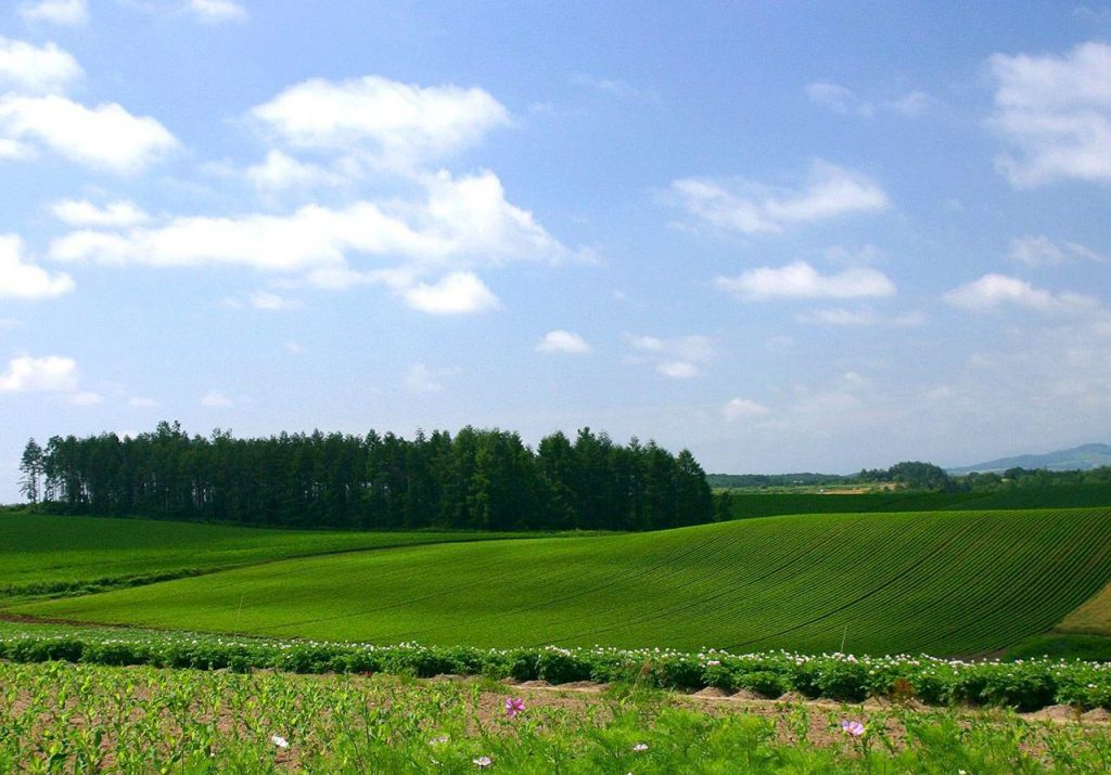 земля