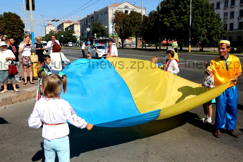 Цифра дня: 2237 флагов принесли в «дубовку» запорожцы и установили рекорд