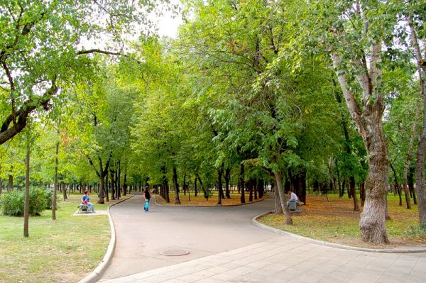 В Запорожье может появиться сквер им. Калнышевского