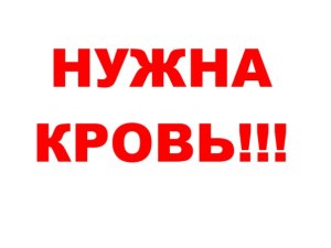 Запорожский священник просит о помощи