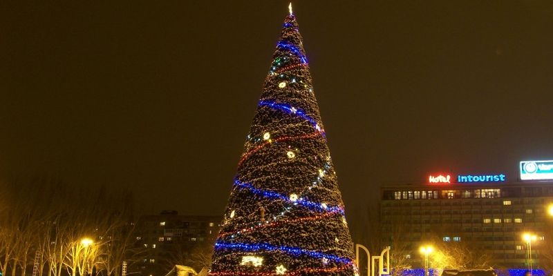 Областную елку купят за губернаторские деньги
