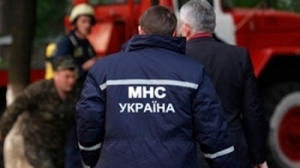 За сутки запорожские спасатели дважды выезжали на пожары на открытой территории