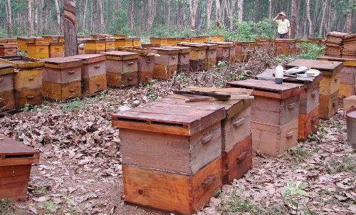 Бердянская полиция разыскивает более 20 ульев с пчелами