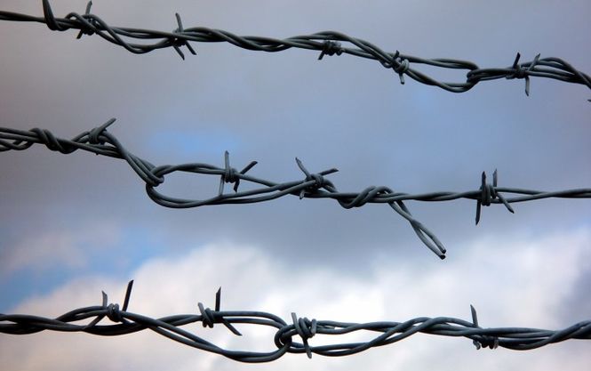 Прокуратура проверит виновны ли пенитенциарии в самоубийствах осужденных