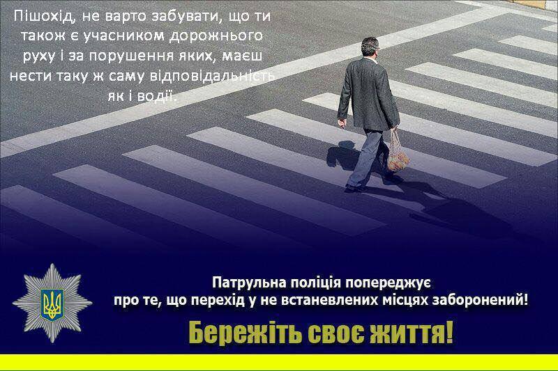 Запорожские патрульные выписали штраф пяти пешеходам