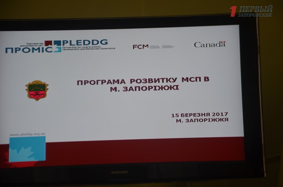 В Запорожье презентовали программу развития малого и среднего бизнеса на ближайшие пять лет