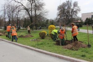 Аллея сакур и внутриквартальные скверы: как Запорожье готовится ко Дню окружающей среды
