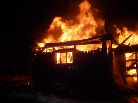 В Запорожской области произошло возгорание во дворе частного дома