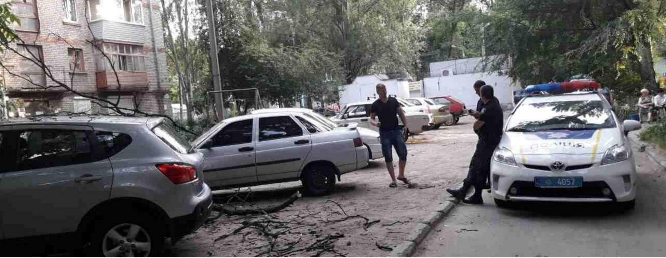 В Запорожье на припаркованную иномарку упало дерево - ФОТО
