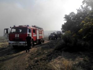 В Запорожской области на территории лесничества произошел масштабный пожар - ФОТО
