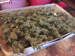 У жителей Запорожья нашли наркотиков на 200 тысяч гривен - ФОТО