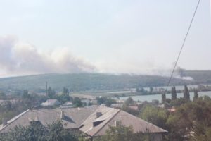 В Запорожской области спасатели 4 часа тушили пожар на территории лесничества - ФОТО