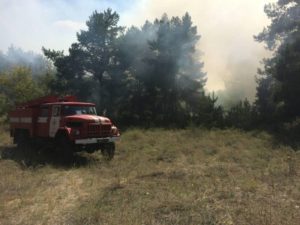 Пожары в Запорожской пылали на 17 гектарах открытой территории - ФОТО