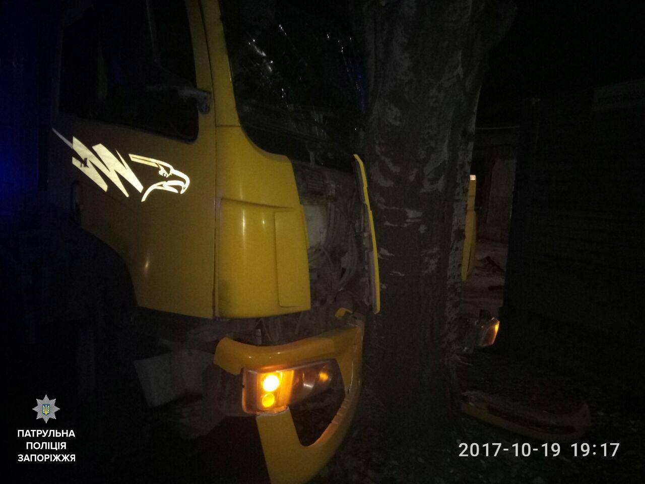 В Запорожье грузовик врезался в дерево - ФОТО