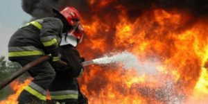 В Запорожской области на страусиной ферме произошел пожар - ФОТО