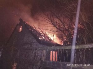В Шевченковском районе Запорожья горел дачный дом - ФОТО