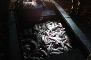 В Запорожской области поймали браконьеров с уловом на полмиллиона гривен - ФОТО