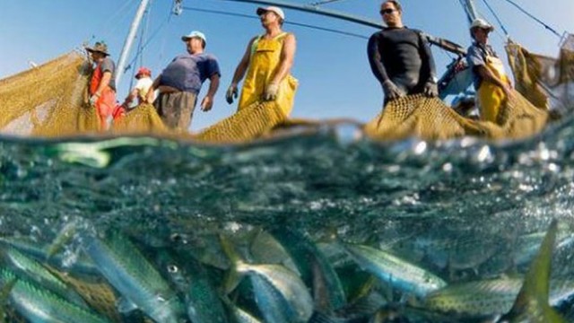 В районе Бердянской косы браконьеры незаконно вылавливали рыбу и креветок - ФОТО