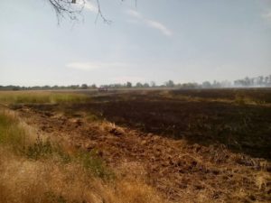 В Запорожье 17 спасателей тушили пожар на Хортице – ФОТО