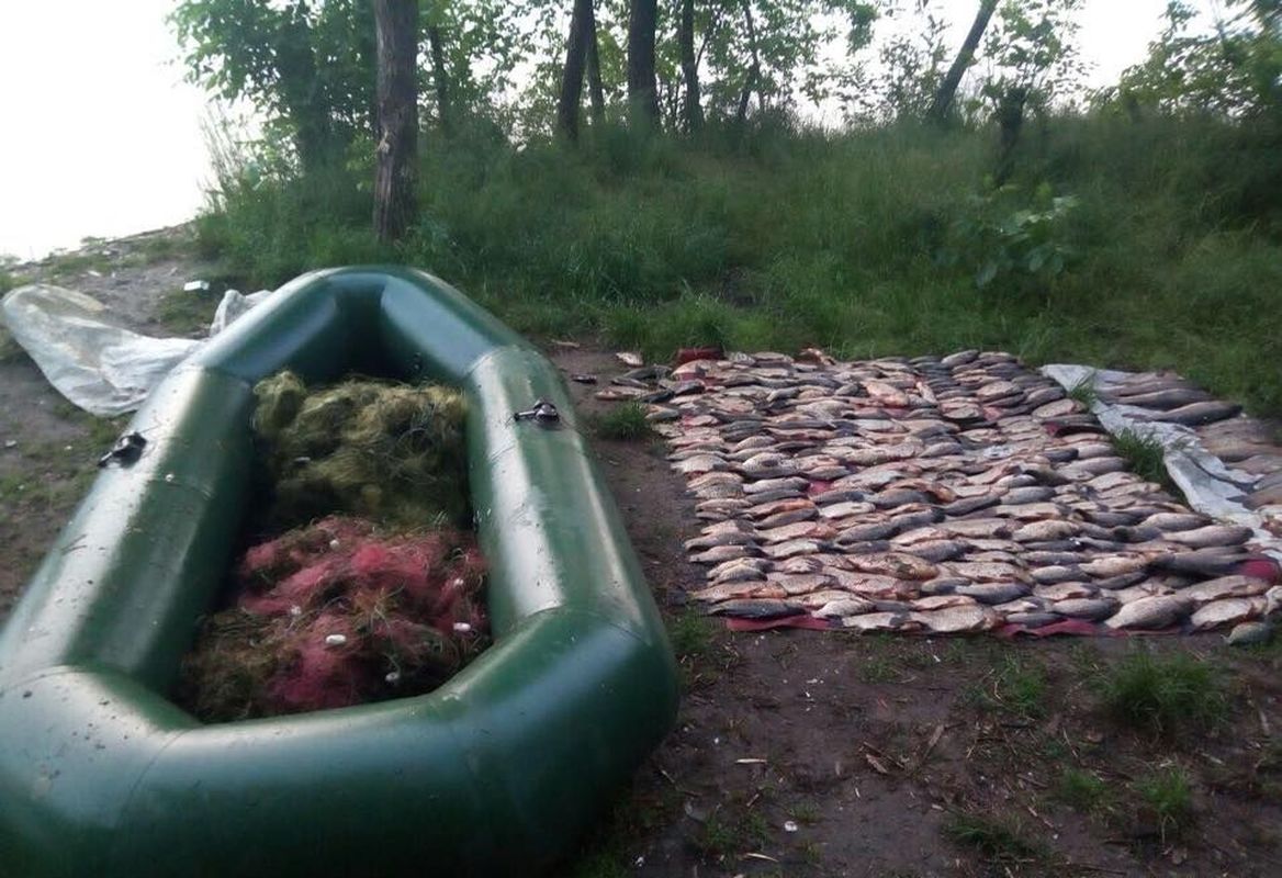 В Запорожской области завершился сезон нереста