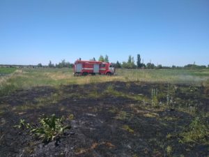 Запорожская область продолжает страдать от пожаров: за сутки произошло 34 случая возгораний природных экосистем - ФОТО