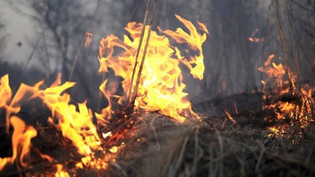 В Запорожской области 233 спасателя тушили пожары в экосистемах