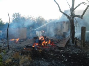 В Запорожской области сгорела надворная хозпостройка - ФОТО