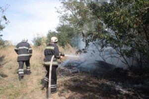 В Запорожском районе произошел масштабный пожар: горели заброшенные сады - ФОТО