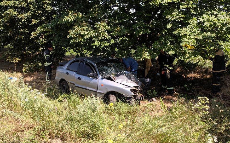 У Запорізькій області на трасі легковик злетів у кювет і врізався в дерево: є постраждалий - ФОТО