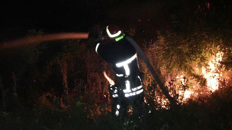 В Запорожской области огонь повредил почти 22 гектара открытой местности