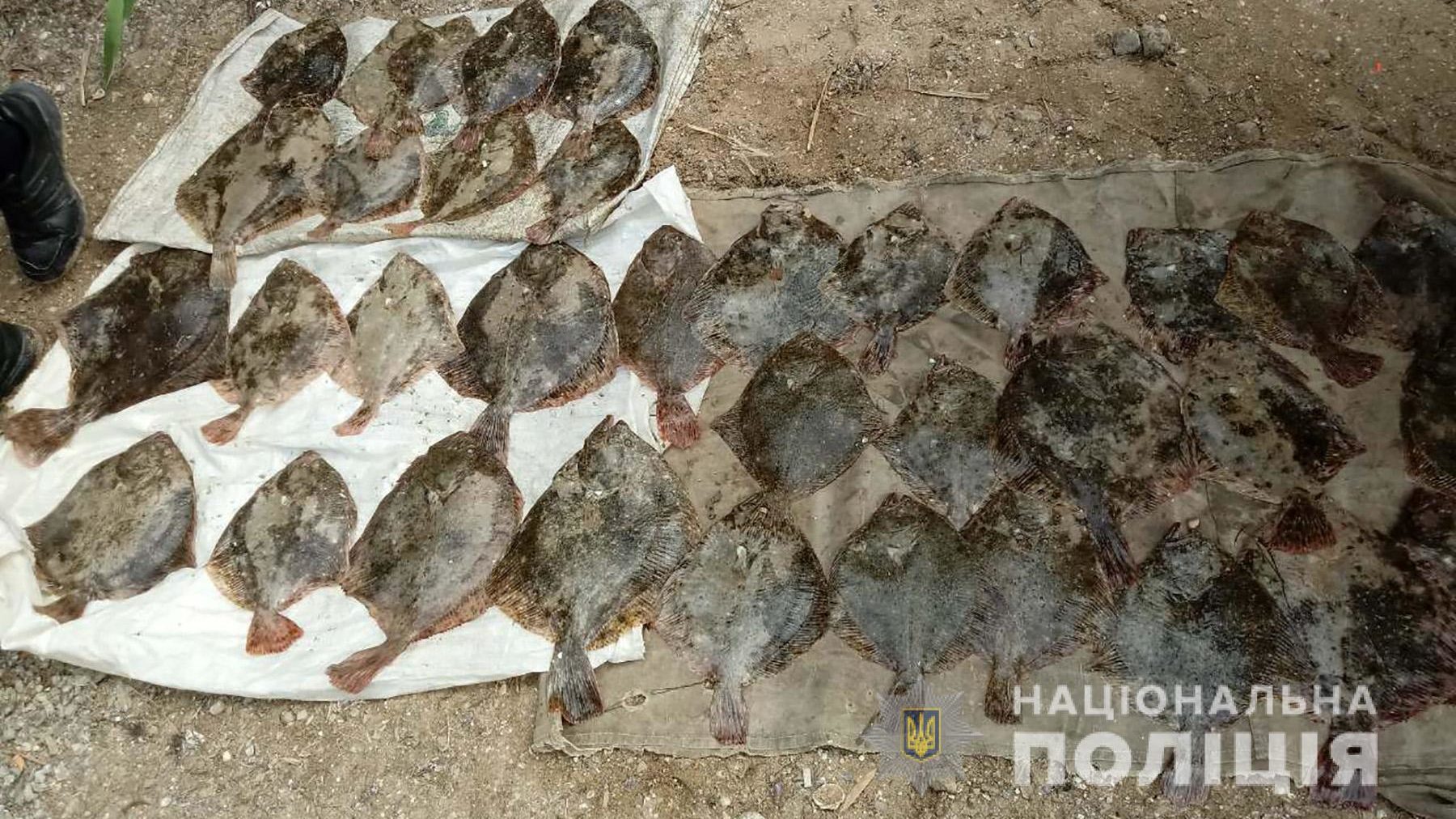 Двоє браконьєрів завдали державі збитку на суму понад 30 тисяч гривень