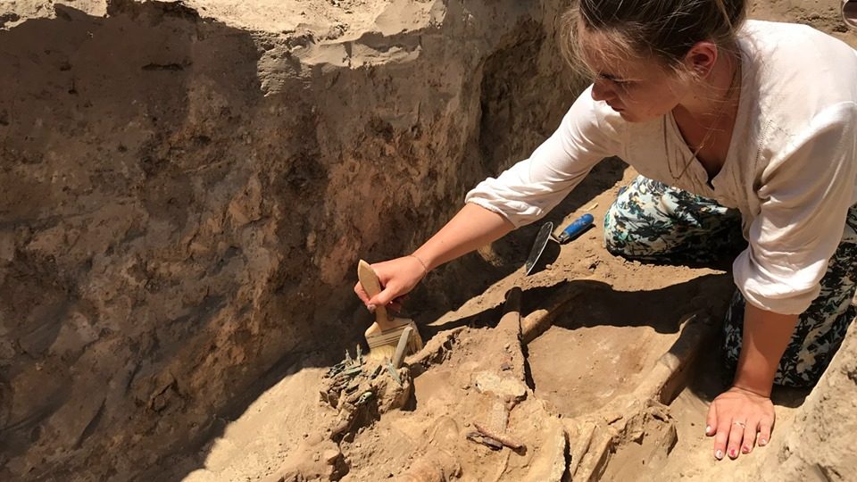 У Запорізькій області розкопали древній акінак з золотими прикрасами, — ФОТО