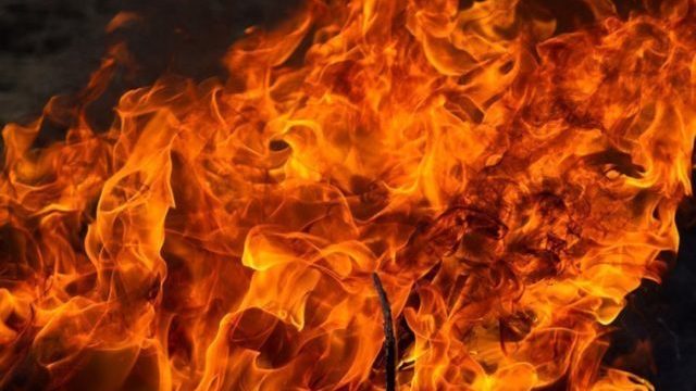 В Запорожской области горел комбайн
