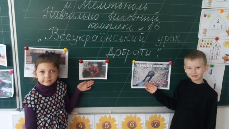 В Мелитополе школьники собрали деньги для бездомных животных